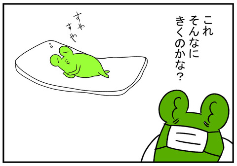 H31.3.5　よく眠れるって…　3
