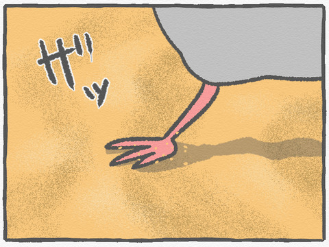 ハトぱっぱ30　4
