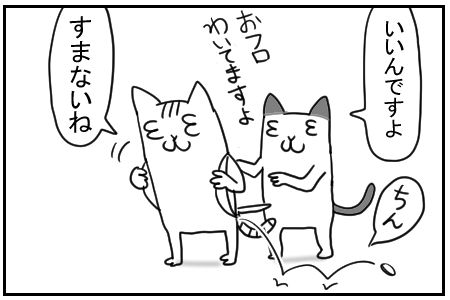 ネコ　4