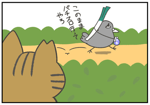 R2.9.17　はとパッパ　鴨ネギ　4
