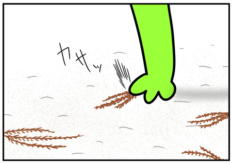 2秋…杉の葉といえば　