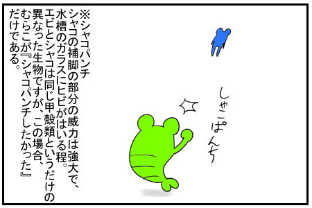 22 エビ 5