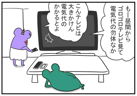 H30.8.21　節約ちず子　3