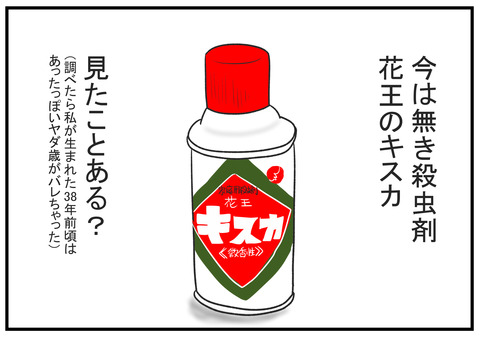 H30.9.25　歳を取ると固有名詞で定着しがち　8