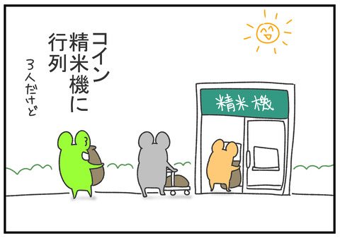 R2.6.20 束の間の晴れ日は重なる 3