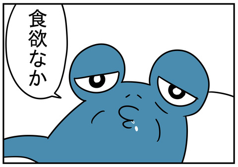 24ã飿¬²ããªãã¨è¨ã義ç¶ã1