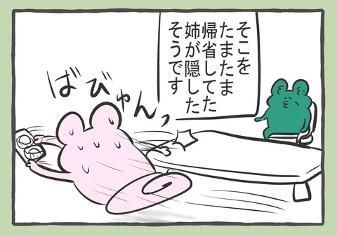 ホウ酸団子 10