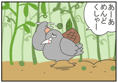 R2.9.11 はとパッパ4豆鉄砲