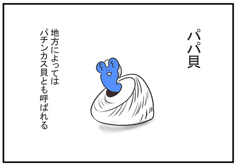 H30.7.31　熱帯魚と貝　6