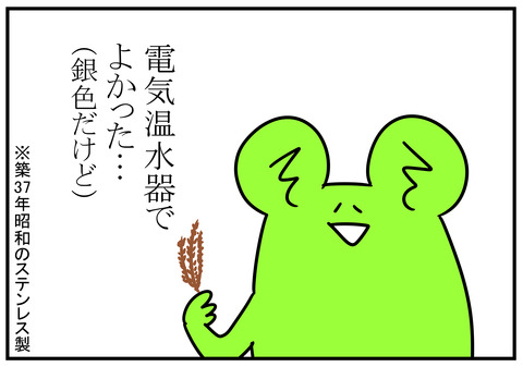 862秋…杉の葉といえば　9