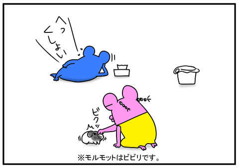 11　モルモット牛ちゃん　2