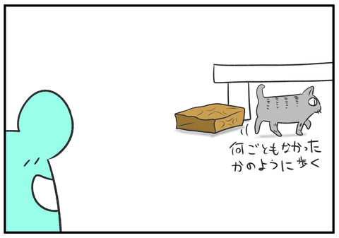 H30.8.23　ネコと遊ぶ子どもたち　6