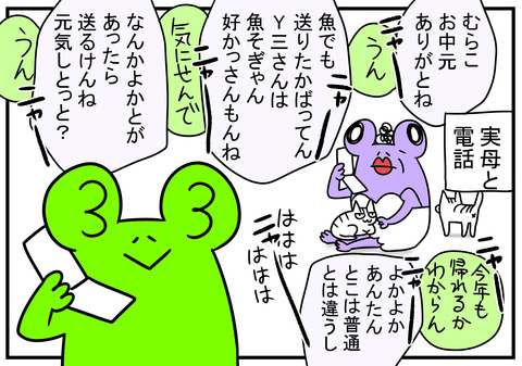 28　実母との電話　1