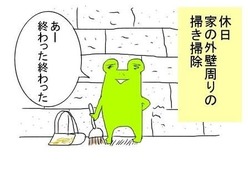 猫用の罠