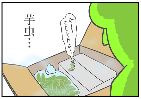 R3.4.15　芋虫　4