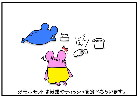 11　モルモット牛ちゃん　6