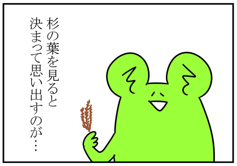 秋…杉の葉といえば　3
