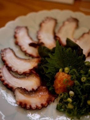 chikara20110316-001.JPG