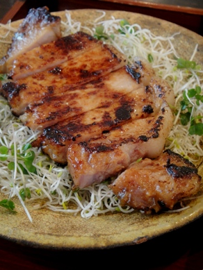niwacoya20100513-005.JPG