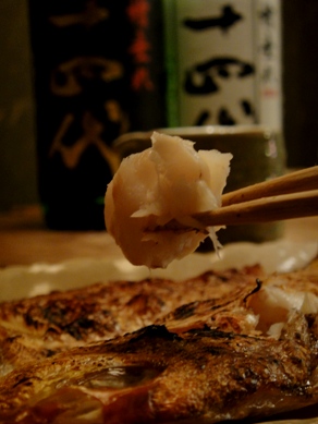 kushikoma20100217-007.JPG