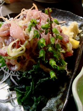 ajitome20080404-007.JPG