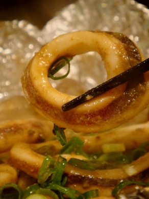 hachi20100210-003.JPG