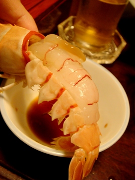 housensou20080424-007.JPG