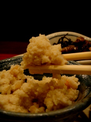ramuro20090417-004.JPG