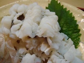 wabi20080310-007.JPG