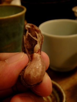 kushikoma20101102-009.JPG