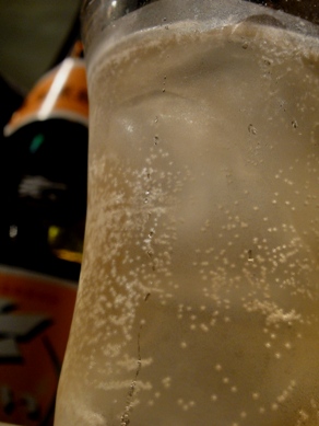 narukiyo20100729-003.JPG