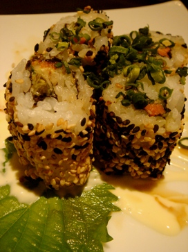 pin20080418-007.JPG