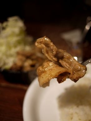 camp20110324-006.JPG