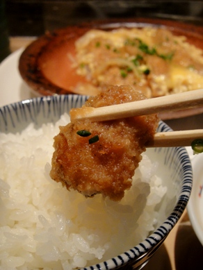 nakajima20100204-006.JPG