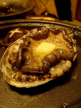 housensou20080424-004.JPG