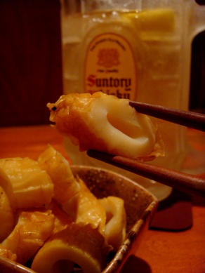 tubaki20100223-002.JPG