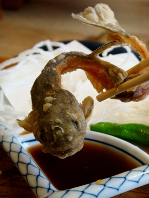sakaechaya20090423-008.JPG