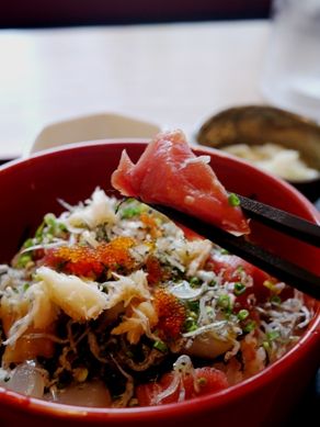 hattori20101003-004.JPG