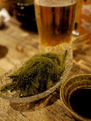 okinawa20101119-003.JPG