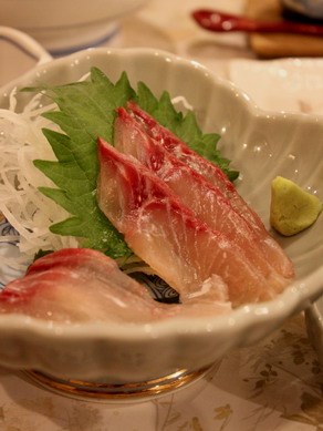inakoyu20100122-003