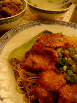 shinki20080418-002.JPG