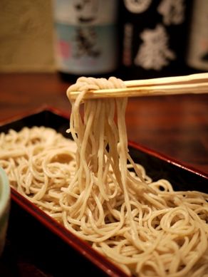 kawasemi20110602-008.JPG