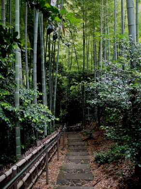 omcafe20100621-007
