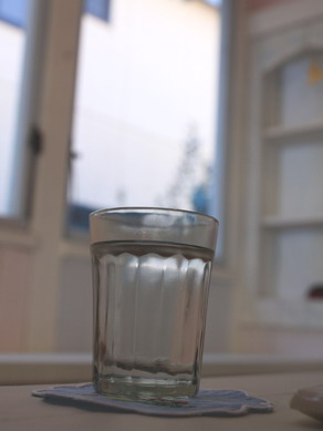 niwakoya20100215-007