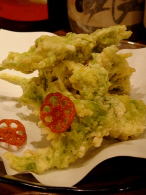 amami20090402-004.JPG