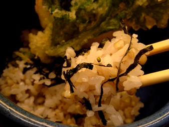 yamaneko20080115-006