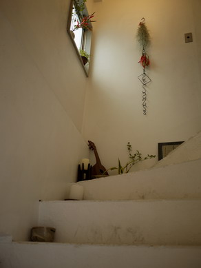 coruri20100822-002.jpg