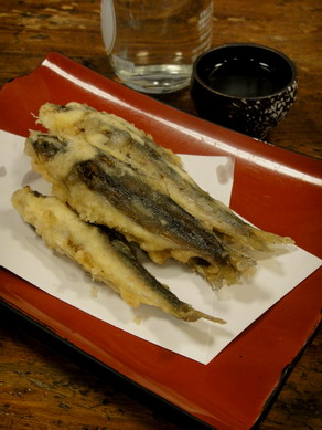 taimeian20100518-002