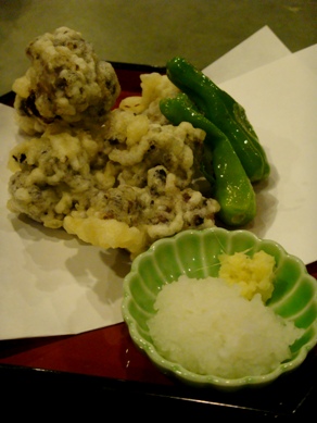 fujita20090128-003.JPG