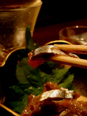 shumisen20091020-003.JPG